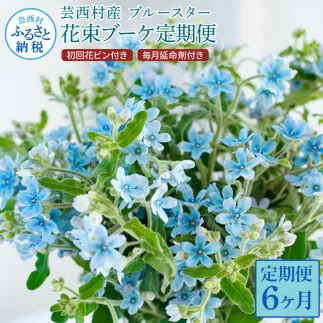 t179tmf [6ヵ月定期便] ブルースター 花束 初回花瓶付 定期便 定期コース 全6回 延命剤付き ラッピング 花びん 生花 花束 ブーケ 花 お花 可愛い キレイ おしゃれ 供花 お供え ギフト プレゼント