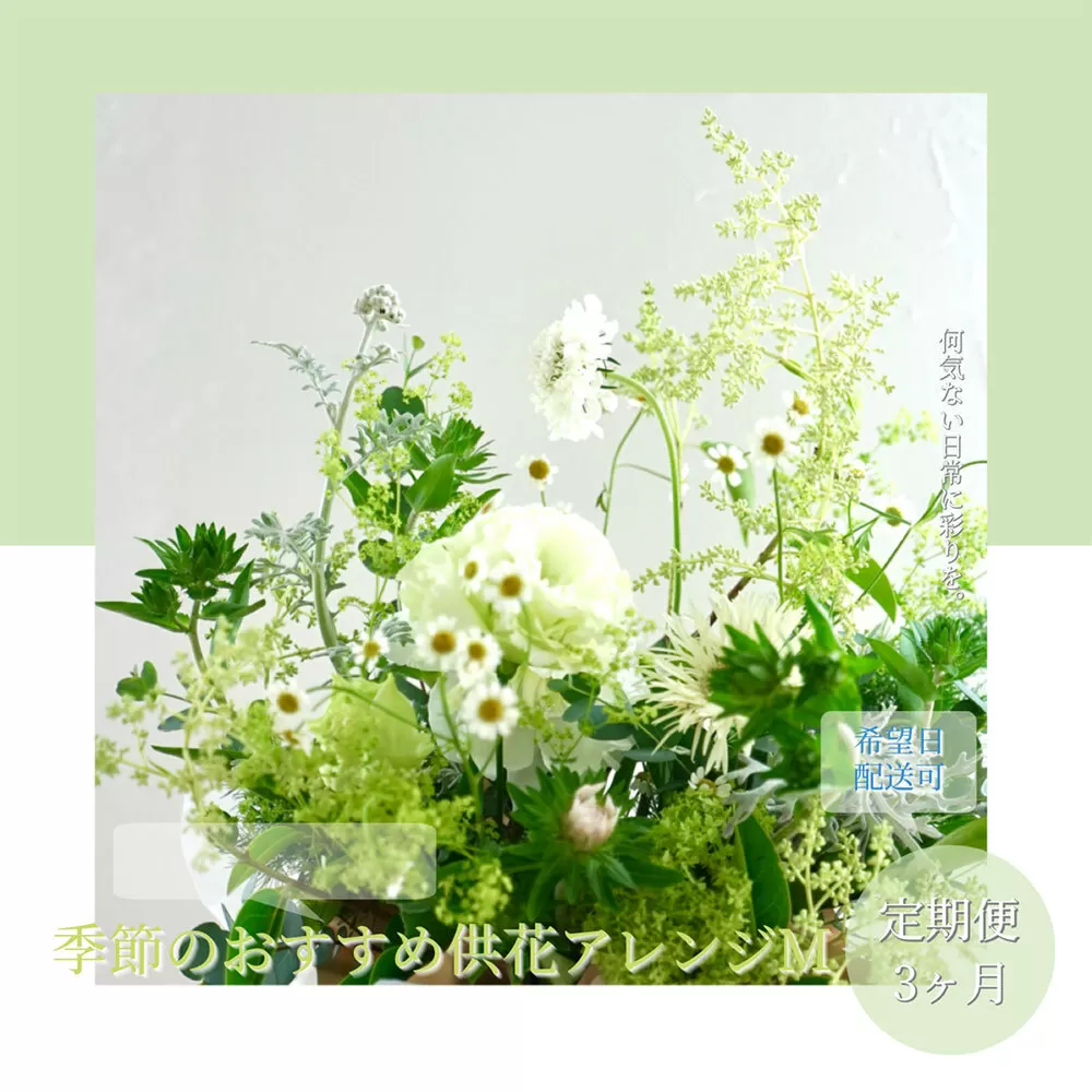 t172tmf [3ヵ月定期便]生花アレンジ お供え 供花M 定期便 定期コース 全3回 フラワーアレンジメント そのまま飾れる お供え 花束 生花 仏花 供花 花束 はな 花 法要 お盆 季節のお花 供花 お供え