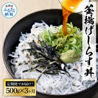 t206kgp　《3ヶ月定期便》高知県産釜揚げしらす500g 定期便 定期コース 3回 簡易梱包 シラス 小分け 国産 釜揚げ しらす丼 海鮮丼 お茶漬け ごはん 軍艦巻き 冷凍配送 おかず おつまみ お楽しみ