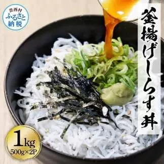 KGP079　高知県産釜揚げしらす500g×2パック 1kg 1キロ 簡易梱包 シラス 小分け 国産 釜揚げ しらす丼 海鮮丼 お茶漬け ごはん 軍艦巻き 手巻き寿司 ご飯 雑炊 冷奴 冷凍配送 おかず おつまみ