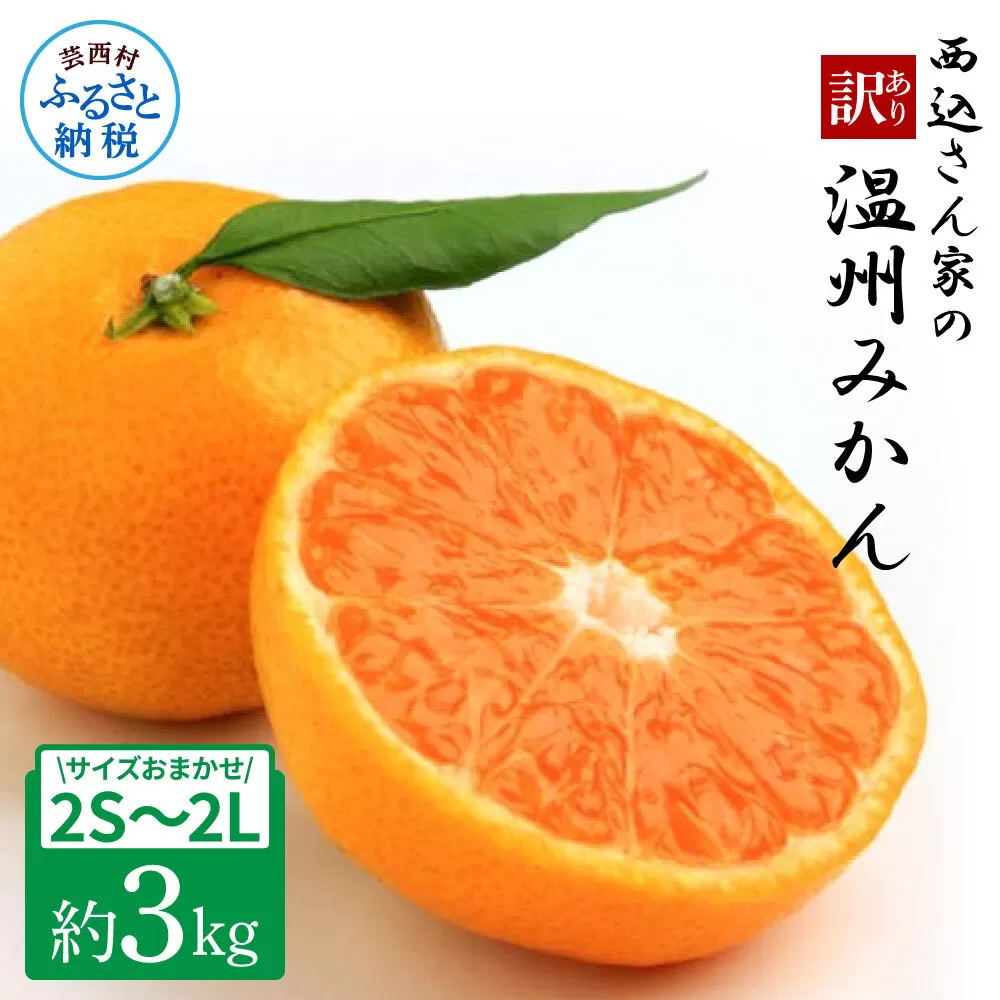 西込さん家の温州みかん 約3kg・サイズおまかせ(2S〜2L) ワケあり品(外皮にシミ・傷あり) 3キロ 柑橘 蜜柑 果物 フルーツ 訳あり 家庭用 自宅用 常温 数量限定 配送可能時期12月末まで