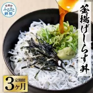 《3ヶ月定期便》高知県産釜揚げしらす×8パック 定期便 定期コース 3回 簡易梱包 小分け 国産 釜揚げ シラス丼 海鮮丼 ゆず付 お茶漬け 軍艦巻き 手巻き寿司 冷凍配送 おかず お取り寄せ