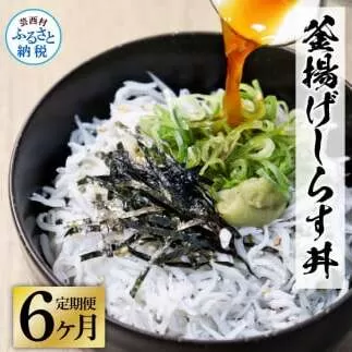 《6ヶ月定期便》高知県産釜揚げしらす×8パック 定期便 定期コース 6回 簡易梱包 小分け 国産 釜揚げ シラス丼 海鮮丼 ゆず付 お茶漬け 軍艦巻き 手巻き寿司 冷凍配送 おかず お取り寄せ