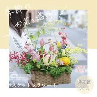 《3ヵ月定期便》季節の生花バスケットフラワーL バスケット 紙バンドバスケット フラワーバスケット 季節 手作り ハンドメイド ブルースター トルコギキョウ お取り寄せ 生花 プレゼント 贈り物