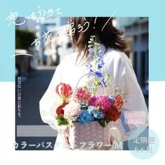 《6ヵ月定期便》季節の生花カラーバスケットフラワーM カラーバスケット 紙バンドバスケット フラワーバスケット 季節 手作り ブルースター トルコギキョウ お取り寄せ 生花 プレゼント 贈り物