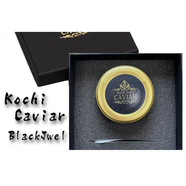 KYF004　熟成キャビア（30g）ブラックジュエル化粧箱入り シェルスプーン付 チョウザメ 卵 魚卵 高知県産 【koyofr】卵一粒に旨みが凝縮【geiseiymt】〈高知市共通返礼品〉