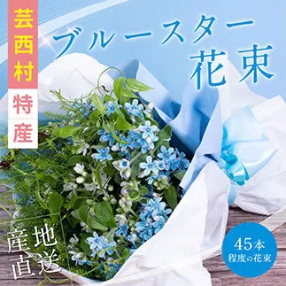 JJM003　《先行予約》芸西村特産ブルースター花束（約45本程度の花束）