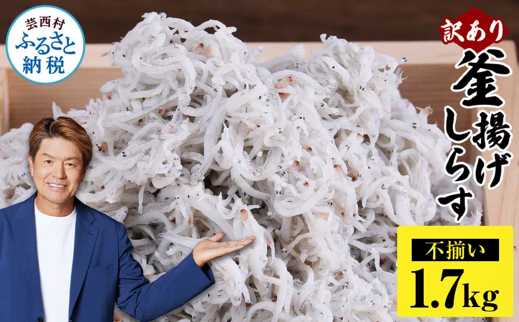訳あり釜揚げシラス1.7kg 高知県産 釜揚げしらす 簡易梱包 わけあり 不揃い シラス 国産 釜揚げ 新鮮 しらす丼 海鮮丼 お茶漬け 冷凍配送 塩分控えめ お取り寄せ
