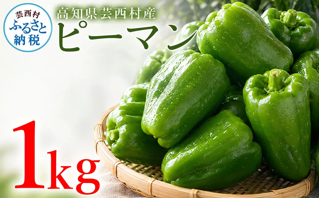 ピーマン 1kg P.SUKE（ピースケ）野菜 新鮮 みずみずしい 肉厚 料理 サラダ スティック野菜 野菜炒め 肉詰め 青椒肉絲 高知県 芸西村
