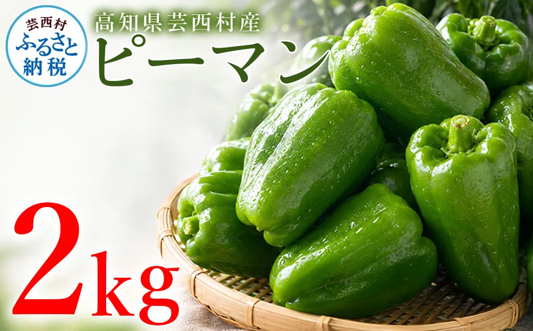 ピーマン 2kg P.SUKE（ピースケ）野菜 新鮮 みずみずしい 肉厚 料理 サラダ スティック野菜 野菜炒め 肉詰め 青椒肉絲 高知県 芸西村