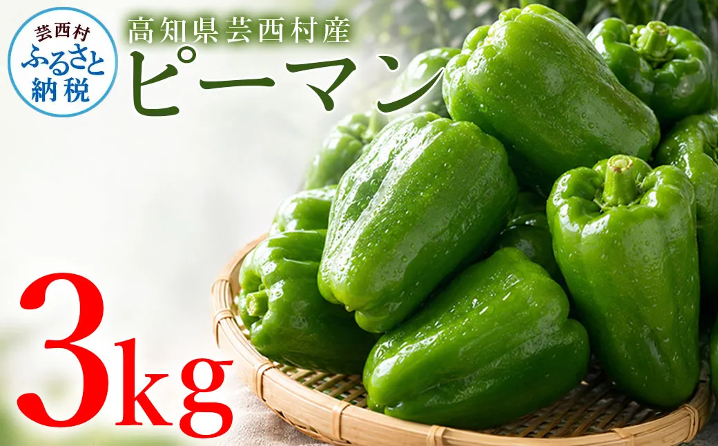 ピーマン 3kg P.SUKE（ピースケ）野菜 新鮮 みずみずしい 肉厚 料理 サラダ スティック野菜 野菜炒め 肉詰め 青椒肉絲 高知県 芸西村