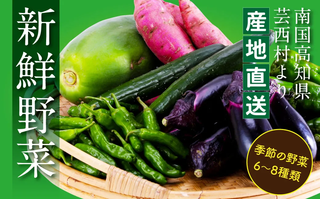 【先行予約】朝どれ！野菜の詰合せ 芸西村で採れた新鮮な野菜6〜8種類をお届けします。