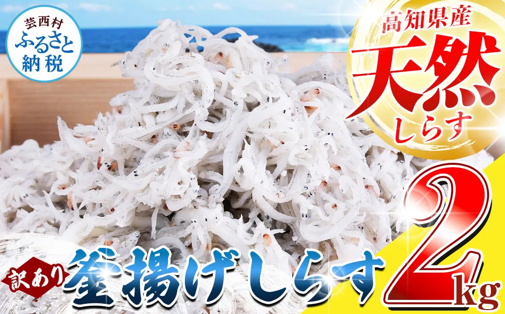 訳あり釜揚げシラス2kg 高知県産 釜揚げしらす 簡易梱包 わけあり 不揃い シラス 国産 釜揚げ 新鮮 しらす丼 海鮮丼 お茶漬け 冷凍配送 塩分控えめ お取り寄せ