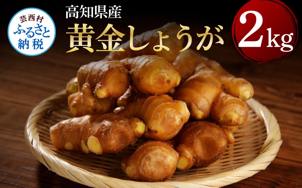 SNS001 高知県産黄金しょうが2kg - しょうが ショウガ 生姜 坂田信夫商店 黄金しょうが 高知 国産 生姜焼き しょうが湯 ふるさとのうぜい 故郷納税 8000円 返礼品 高知県産