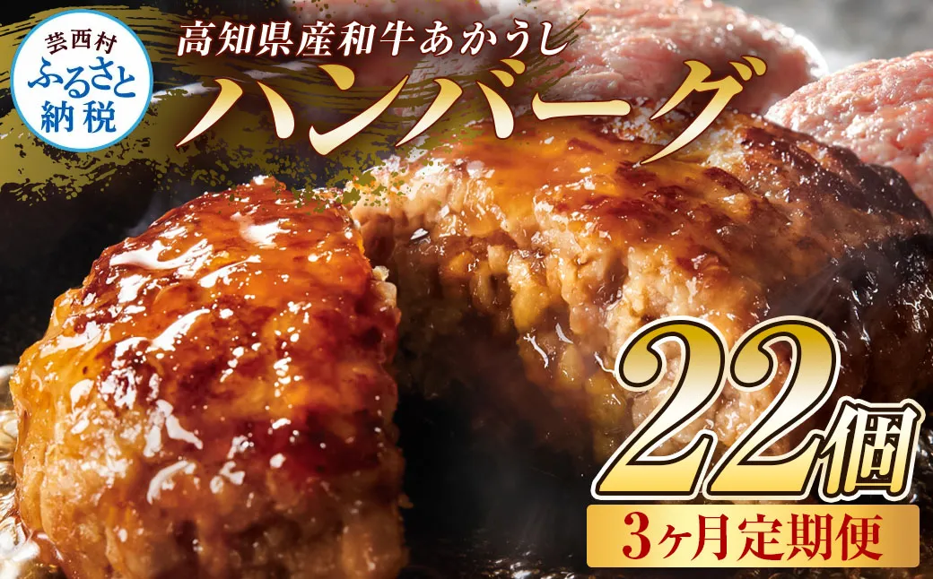 創業50年老舗レストランの幻の和牛あかうしハンバーグ120g×22ケ 3ヶ月定期便 土佐あかうし 美鮮豚 牛肉 高級 ハンバーグ 冷凍 美味しい 肉汁ハンバーグ 焼くだけ 小分け 個包装 高級 国産 定期便