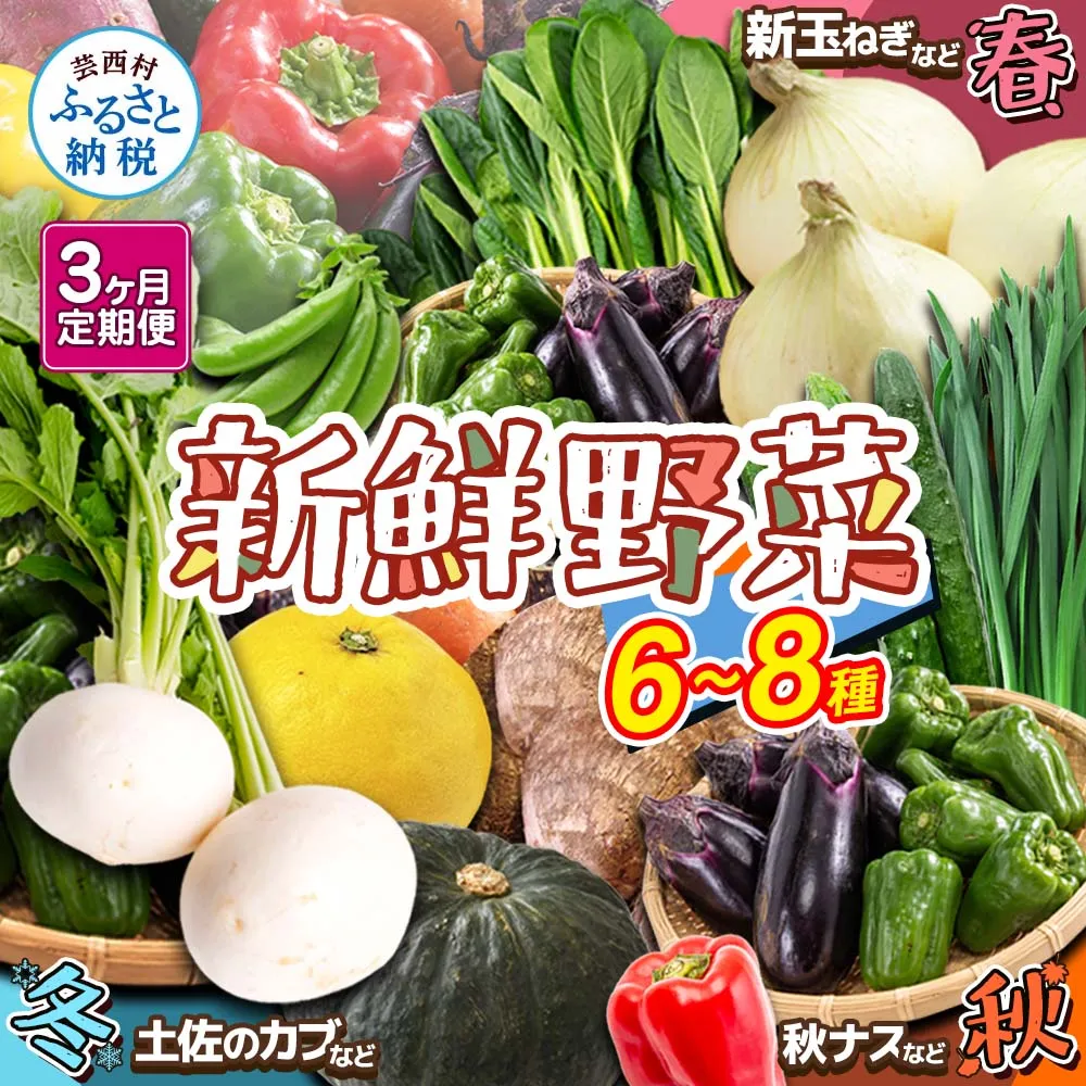 朝どれ！野菜の詰合せ 3ヶ月定期便 芸西村で採れた新鮮な野菜6～8種類をお届けします。 野菜 野菜詰め合わせ 野菜セット 詰め合わせ ナス ピーマン 
