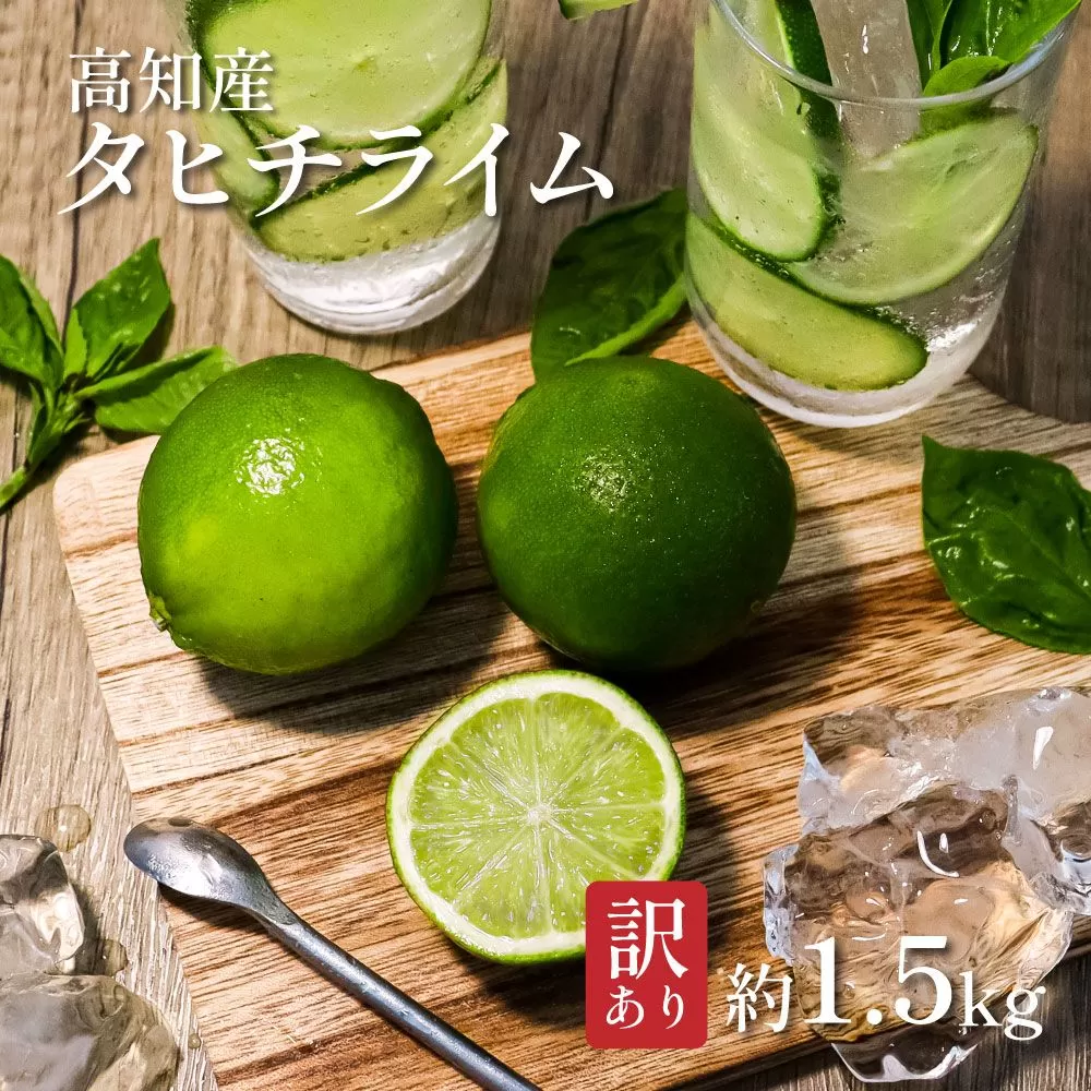 訳ありタヒチライム 約1.5kg ライム 国産 種なし 柑橘類 かんきつ類 防腐剤不使用 ノーワックス 新鮮 冷蔵 家庭用 果物 くだもの フルーツ 芸西村 高知県産