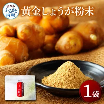 黄金しょうが粉末50g×1袋 - しょうが ショウガ 生姜 生姜パウダー 坂田信夫商店 黄金しょうが 高知 国産 料理 紅茶 しょうが湯 健康 美容 ふるさとのうぜい 故郷納税 3000円 返礼品