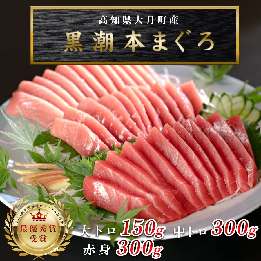 【高知県産 養殖本マグロ】大トロ・中トロ・赤身750g 3種 黒潮本まぐろ｜刺身用 最優秀賞受賞 日本一 本まぐろ まぐろ 鮪 トロ 小分け 丼 寿司 手巻き 急速冷凍 解凍簡単 贈答 ギフト お祝い 年末年始 産地直送 高知県 大月町