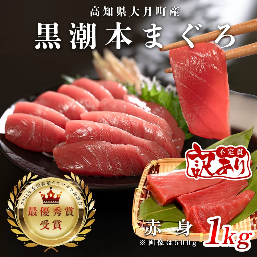 【訳アリ】養殖本マグロ 赤身 1kg 黒潮本まぐろ｜不定貫 不揃い 刺身用 家庭用 最優秀賞受賞 日本一 配達日指定可 指定日配送可 本まぐろ まぐろ 鮪 小分け 個包装 丼 寿司 柵 急速冷凍 解凍簡単 産地直送 高知県 大月町