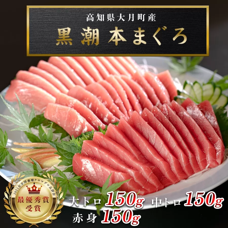 [高知県産 養殖本マグロ]大トロ・中トロ・赤身450g 3種 黒潮本まぐろ|刺身用 最優秀賞受賞 日本一 本まぐろ まぐろ 鮪 トロ 小分け 丼 寿司 手巻き 急速冷凍 解凍簡単 贈答 ギフト お祝い 年末年始 産地直送 高知県 大月町