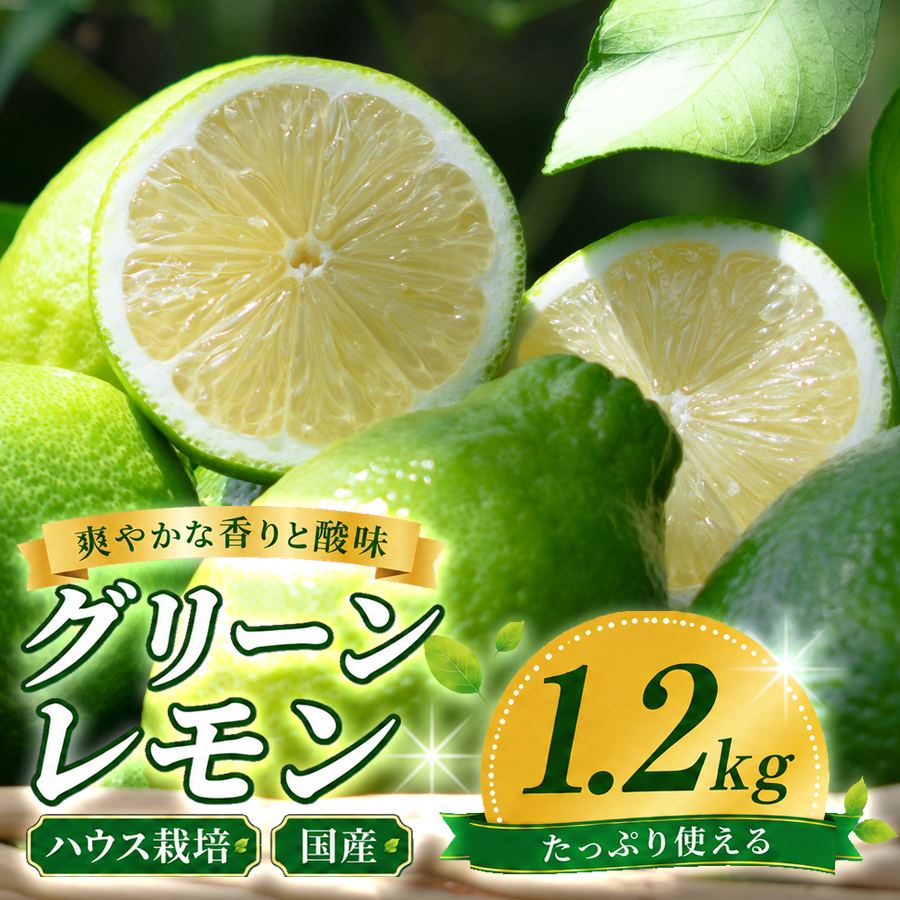 グリーンレモン 1.2kg ハウス栽培 国産 レモン 檸檬 れもん 柑橘 フルーツ 果物 香り 爽やか 果汁 レモンサワー レモネード レモン水 料理 ドリンク お菓子作り アレンユーレカ 高知県大月町