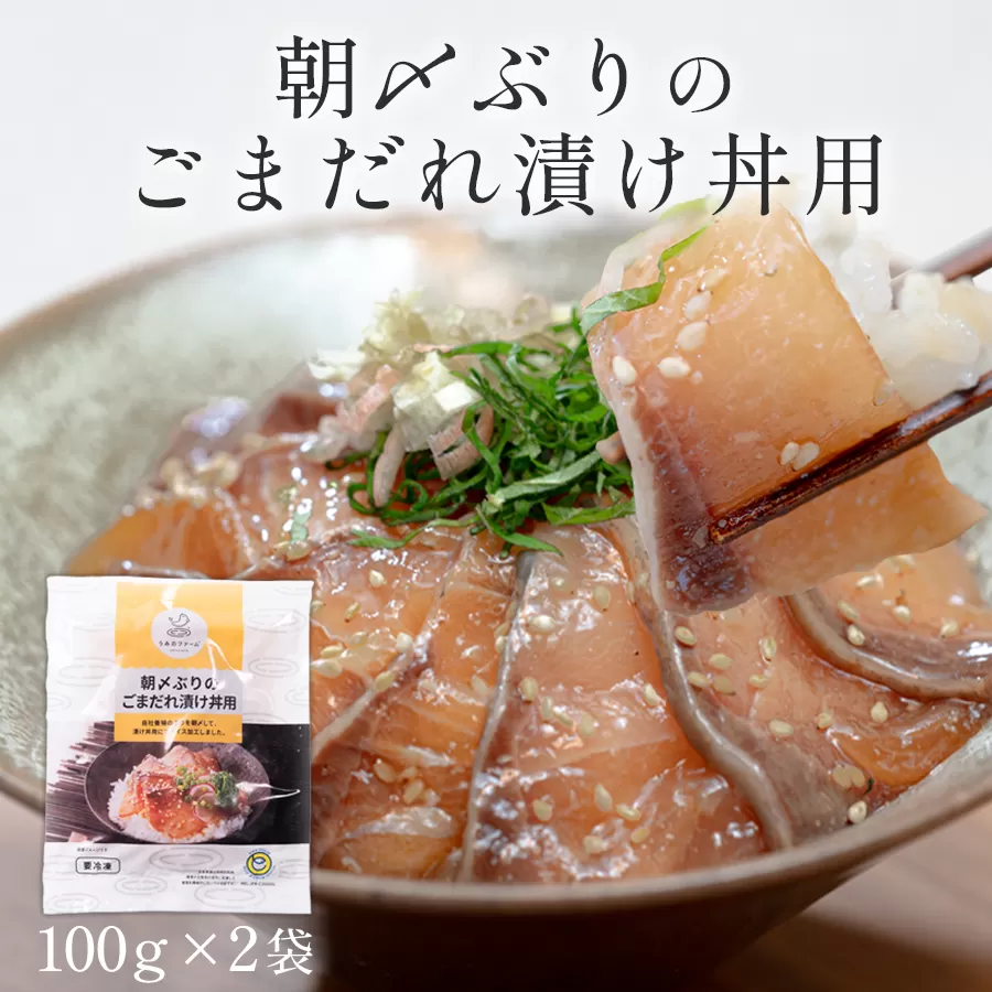 朝〆ぶり ごまだれ漬け丼用 100g×2袋 養殖 ブリ 鰤 海鮮 小分け 冷凍 簡単調理 新鮮 海鮮丼 家庭用 晩酌 高知県産 産地直送 おすすめ 人気 贈答 配達日指定可 高知県 大月町 うみのファーム