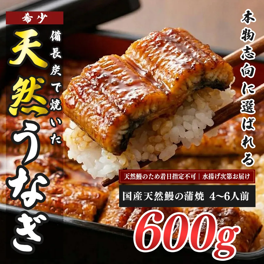 希少 天然 鰻 蒲焼  約4～6人前 600g 国産 四万十川 うなぎ ウナギ  蒲焼き ウナギ蒲焼 鰻蒲焼 うな重 備長炭 炭火 炭火焼き 冷凍 湯せん 小分け 贈答 お取り寄せ ギフトご褒美 簡単 土用の丑の日 高知県 大月町
