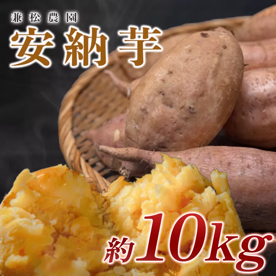 【高知県 大月町産】兼松農園　安納芋　10kg