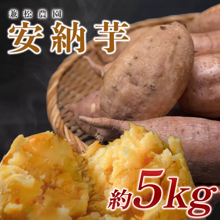 【高知県 大月町産】兼松農園　安納芋　5kg