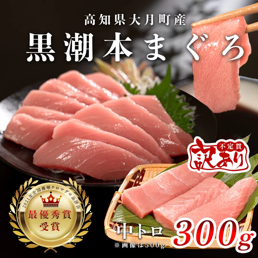 【訳あり】本マグロ 中トロ300g 不定貫 養殖マグロ 高知県産 指定日発送可能