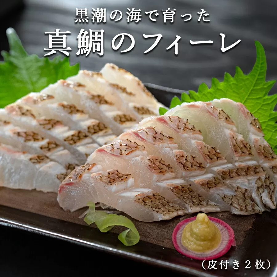 真鯛 フィーレ 皮つき 計500～740g｜即日発送 配達日指定可 柏島 たい 鯛 フィレ 半身3枚おろし 産地直送 冷蔵 真空パック 活〆 皮目 香ばしい 海鮮丼 鯛めし 塩焼き 湯引き 炙り はやぶさ水産 高知県 大月町産