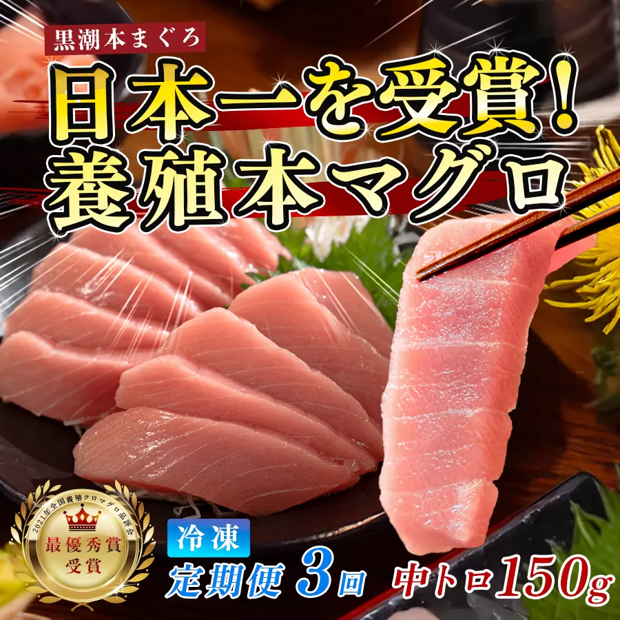 まぐろ マグロ 本鮪 黒潮本まぐろ 中トロ 定期便 3回 150g × 3回 刺身 さしみ 最優秀賞 全国養殖クロマグロ品評会 受賞 魚 魚介類 海鮮 柵 サク 冷凍 お取り寄せ 産地直送 ギフト 贈答  高知県 大月町
