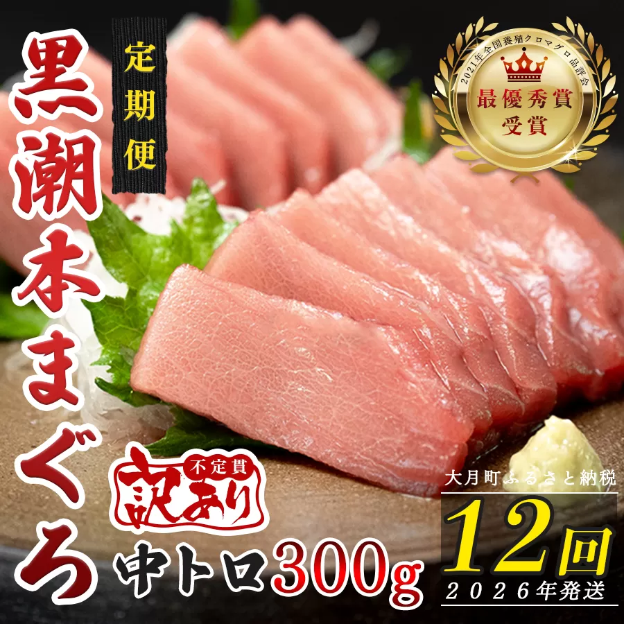 【定期便 12回】高知県産 本マグロ 中トロ 養殖 2柵 300g (不定貫)