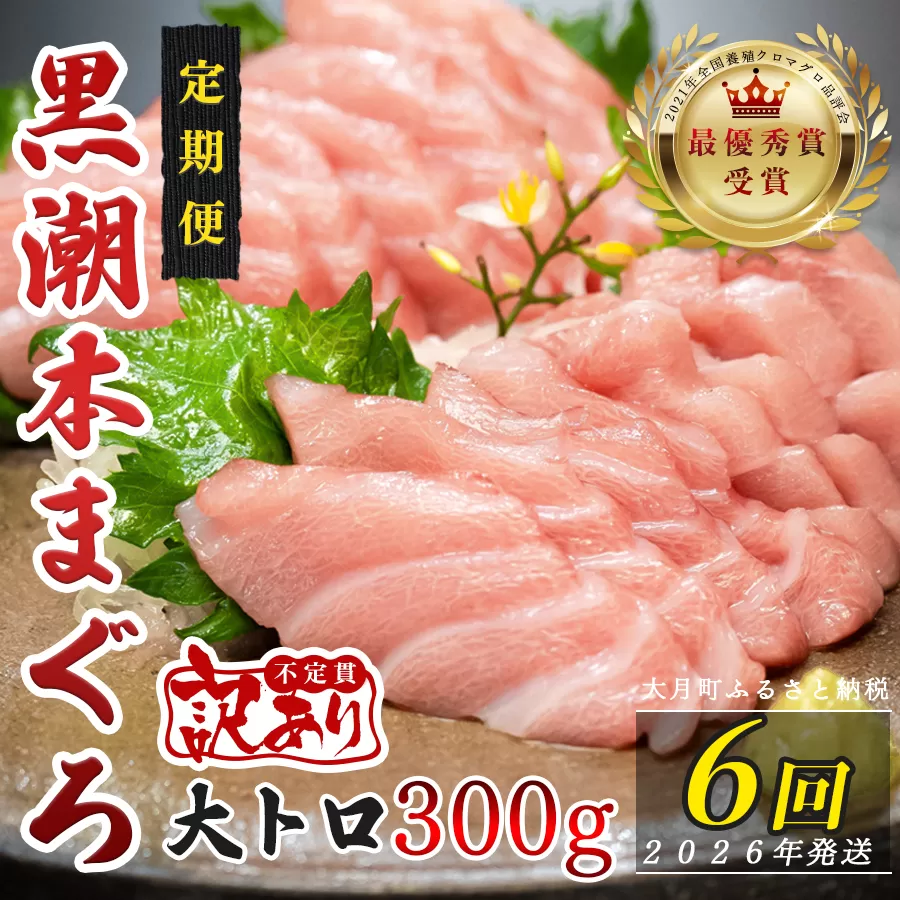 【定期便 6回】高知県産 本マグロ 大トロ 養殖 2柵 300g (不定貫)