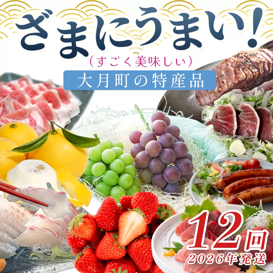 【定期便 12回】ざまにうまい!大月町 特産品セット|いちご 真鯛 鶏もも肉 むね肉 かつおの藁焼きたたき 力豚 豚ロース 豚こま 小夏 厚切り豚タン ぶどう みかん 養殖 本マグロ 旬 産地直送 野菜 果物 人気 ご当地 グルメ お取り寄せ