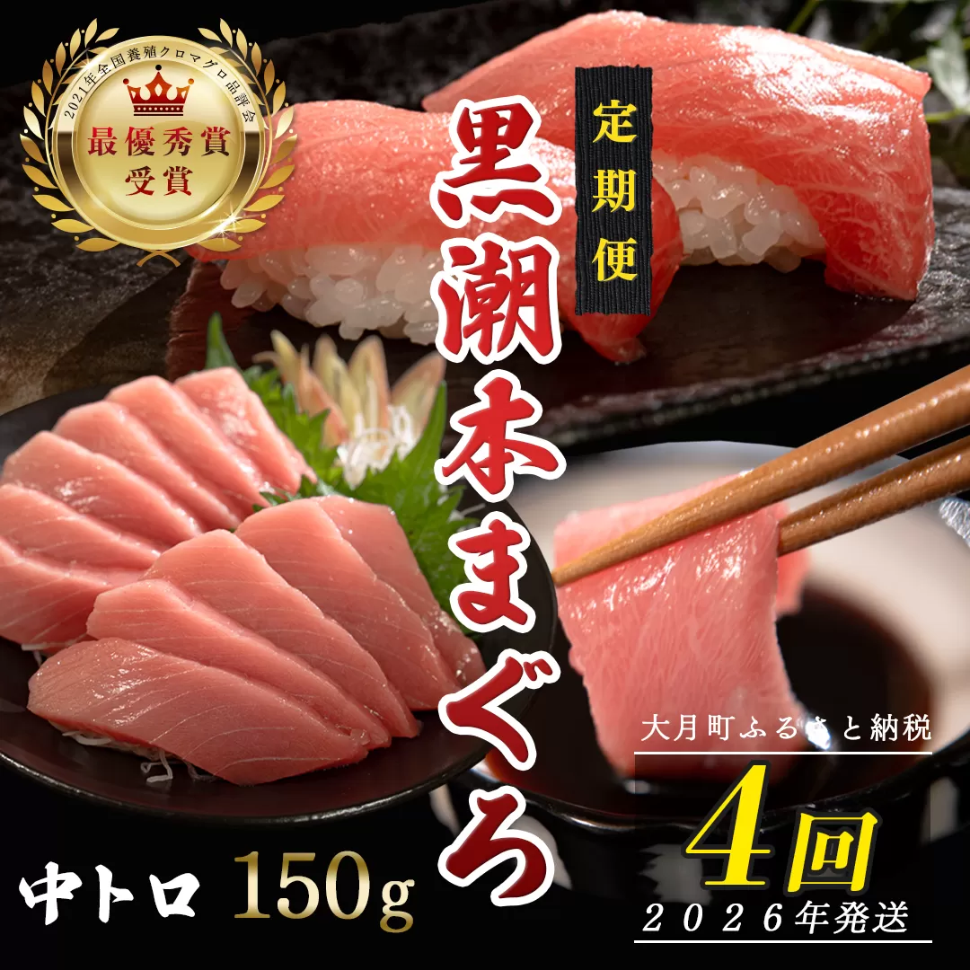 【定期便4回】日本一!黒潮本まぐろ 中トロ