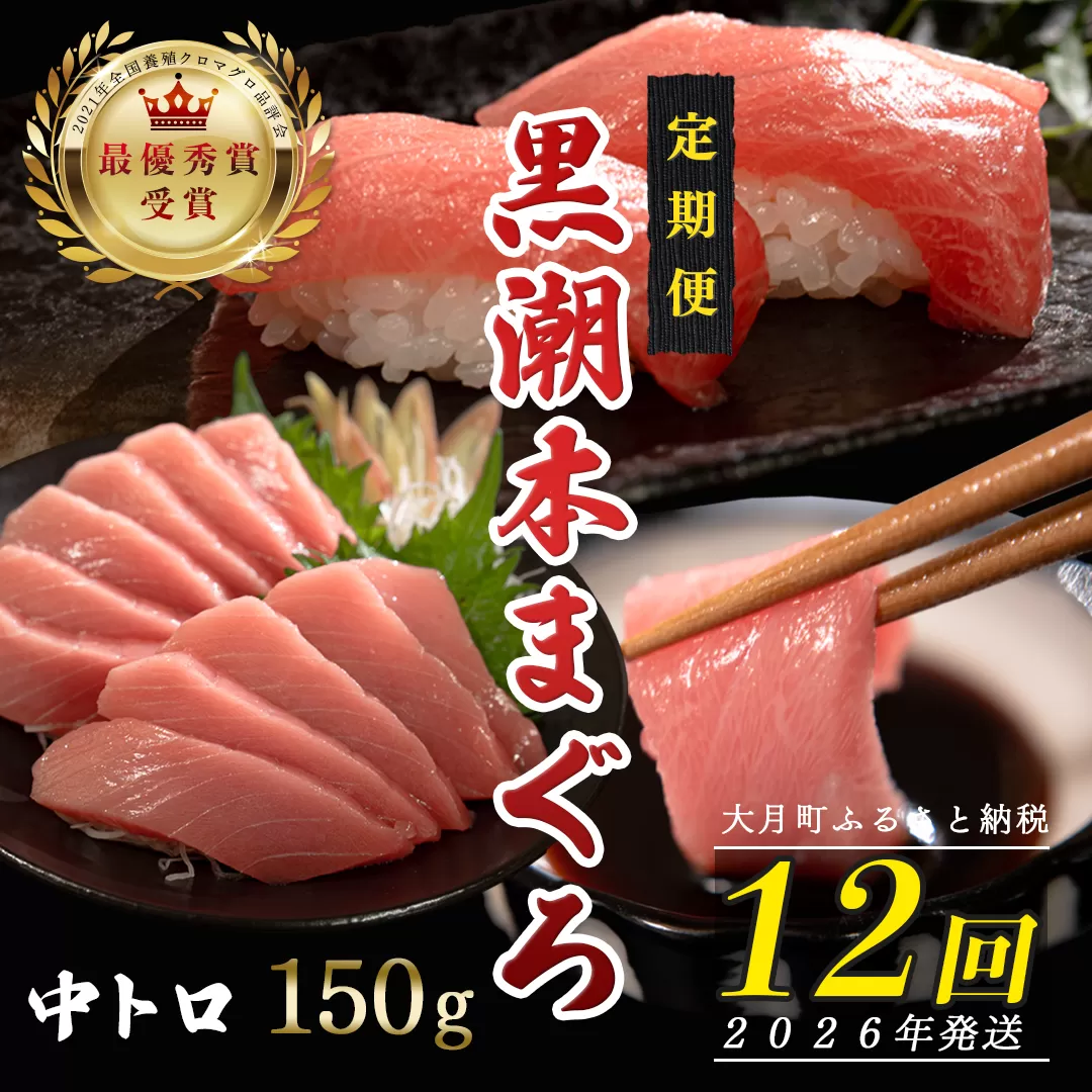 【定期便12回】日本一!黒潮本まぐろ 中トロ