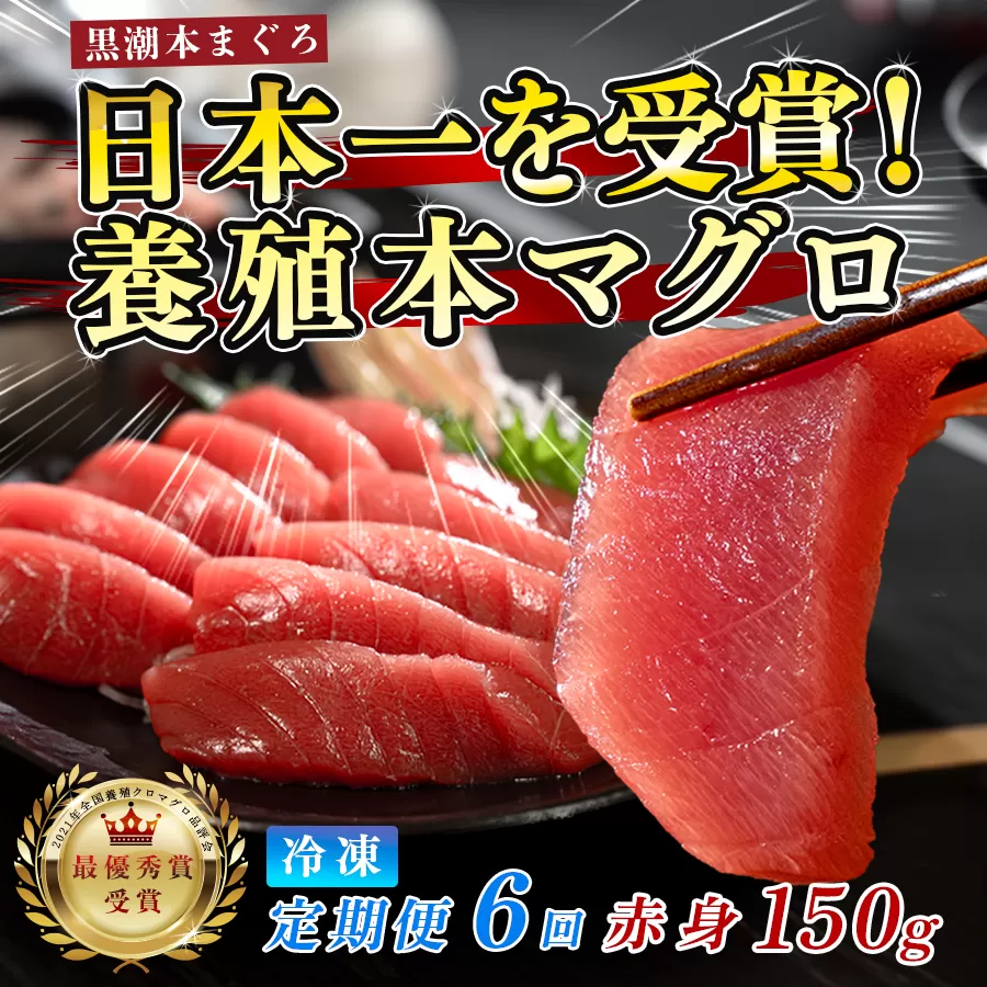 まぐろ マグロ 本鮪 黒潮本まぐろ 赤身 定期便 6回 150g × 6回 刺身 さしみ 最優秀賞 全国養殖クロマグロ品評会 受賞 魚 魚介類 海鮮 柵 サク 冷凍 お取り寄せ 産地直送 ギフト 贈答  高知県 大月町