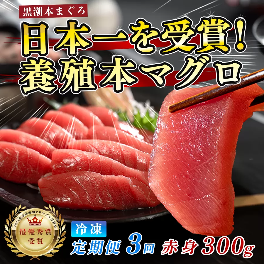 まぐろ マグロ 本鮪 黒潮本まぐろ 赤身 定期便 3回 300g × 3回 刺身 さしみ 最優秀賞 全国養殖クロマグロ品評会 受賞 魚 魚介類 海鮮 柵 サク 冷凍 お取り寄せ 産地直送 ギフト 贈答  高知県 大月町