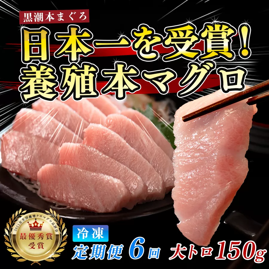 まぐろ マグロ 本鮪 黒潮本まぐろ 大トロ 定期便 6回 150g × 6回 刺身 さしみ 最優秀賞 全国養殖クロマグロ品評会 受賞 魚 魚介類 海鮮 柵 サク 冷凍 お取り寄せ 産地直送 ギフト 贈答  高知県 大月町