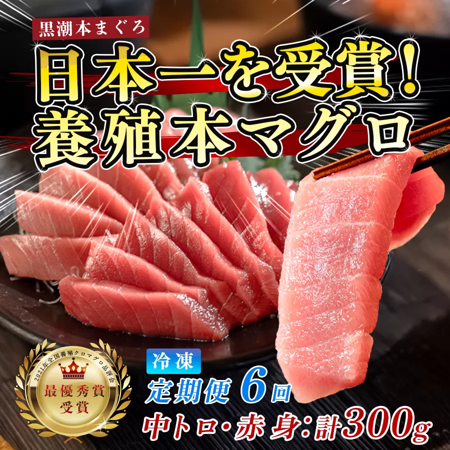 まぐろ マグロ 本鮪 黒潮本まぐろ 中トロ 赤身 定期便 6回 計300g × 6回 刺身 さしみ 最優秀賞 全国養殖クロマグロ品評会 受賞 魚 魚介類 海鮮 柵 サク 冷凍 お取り寄せ 産地直送 ギフト 贈答  高知県 大月町