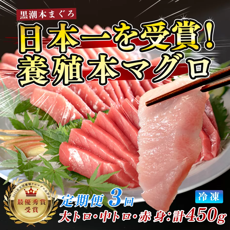 まぐろ マグロ 本鮪 黒潮本まぐろ 大トロ 中トロ 赤身 定期便 3回 計450g × 3回 刺身 さしみ 最優秀賞 全国養殖クロマグロ品評会 受賞 魚 魚介類 海鮮 柵 サク 冷凍 お取り寄せ 産地直送 ギフト 贈答  高知県 大月町