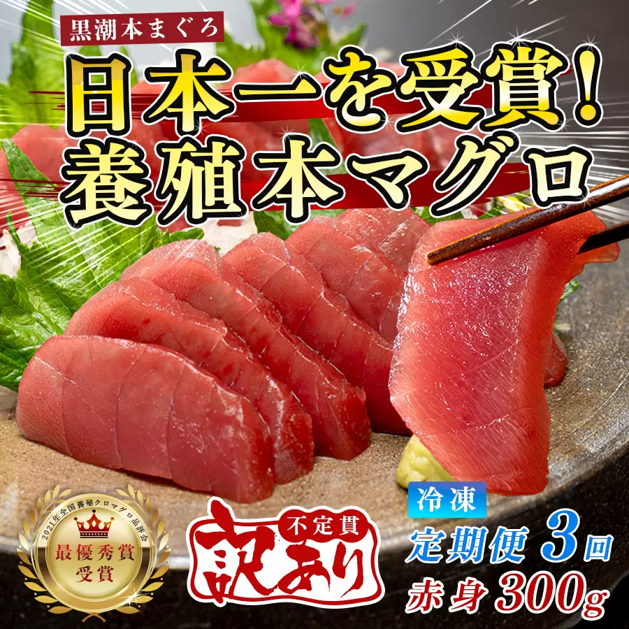 訳あり まぐろ マグロ 本鮪 黒潮本まぐろ 赤身 定期便 3回 300g × 3回 刺身 さしみ 最優秀賞 全国養殖クロマグロ品評会 受賞 魚 魚介類 海鮮 柵 サク 冷凍 お取り寄せ 産地直送 ギフト 贈答  高知県 大月町