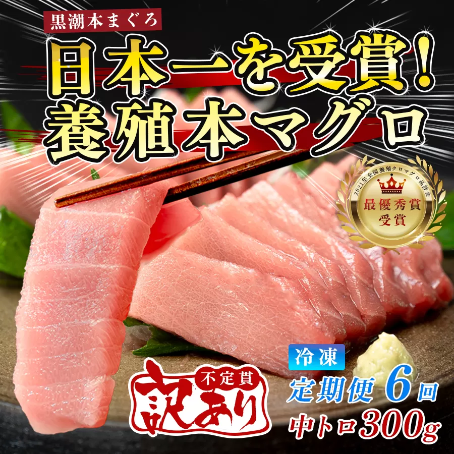 訳あり まぐろ マグロ 本鮪 黒潮本まぐろ 中トロ 定期便 6回 300g × 6回 刺身 さしみ 最優秀賞 全国養殖クロマグロ品評会 受賞 魚 魚介類 海鮮 柵 サク 冷凍 お取り寄せ 産地直送 ギフト 贈答  高知県 大月町