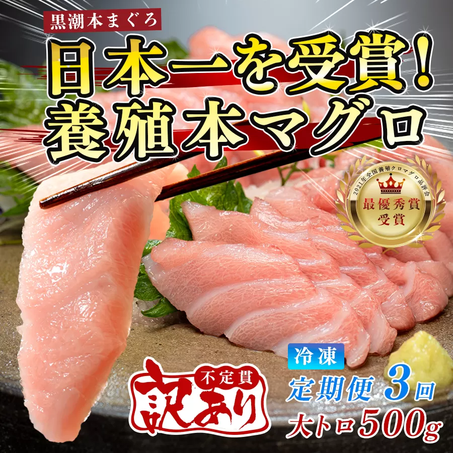 訳あり まぐろ マグロ 本鮪 黒潮本まぐろ 大トロ 定期便 3回 500g × 3回 刺身 さしみ 最優秀賞 全国養殖クロマグロ品評会 受賞 魚 魚介類 海鮮 柵 サク 冷凍 お取り寄せ 産地直送 ギフト 贈答  高知県 大月町