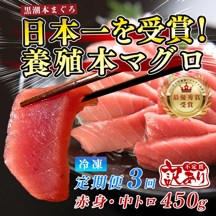 訳あり まぐろ マグロ 本鮪 黒潮本まぐろ 赤身 中トロ 定期便 3回 計450g × 3回 刺身 さしみ 最優秀賞 全国養殖クロマグロ品評会 受賞 魚 魚介類 海鮮 柵 サク 冷凍 お取り寄せ 産地直送 ギフト 贈答  高知県 大月町