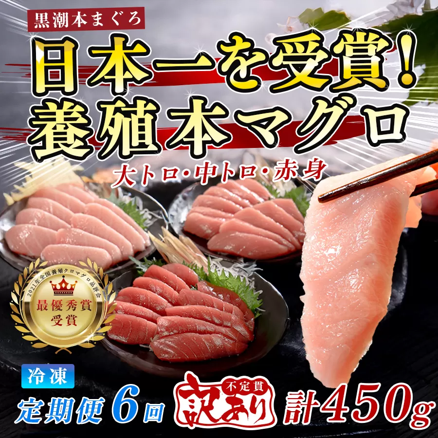 訳あり まぐろ マグロ 本鮪 黒潮本まぐろ 赤身 中トロ 大トロ 定期便 6回 計450g × 6回 刺身 さしみ 最優秀賞 全国養殖クロマグロ品評会 受賞 魚 魚介類 海鮮 柵 サク 冷凍 お取り寄せ 産地直送 ギフト 贈答  高知県 大月町