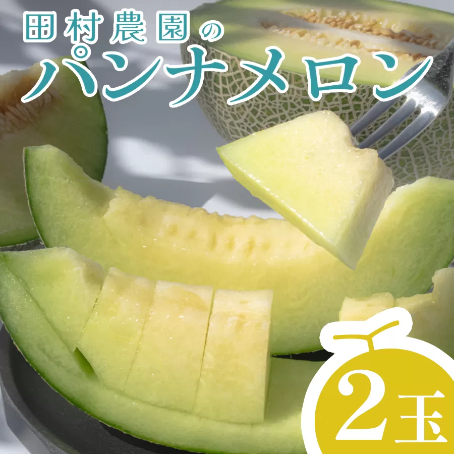 パンナメロン 2玉 希少 甘い 芳醇 メロン フルーツ 果物 濃厚 産地直送 数量限定 厳選 ギフト 贈答用 贈り物 プレゼント お中元 お歳暮 ご褒美 めろん ぱんなめろん 果汁たっぷり 果肉 果実 糖度 人気 旬 夏 デザート