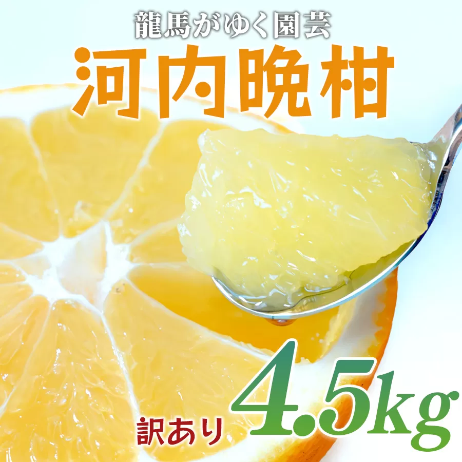 【訳あり】 河内晩柑 4.5kg （M～5L） ばんかん 晩柑 バンカン 夏文旦 家庭用 みかん 蜜柑 柑橘 フルーツ 果物 サイズミックス 初夏 夏 ジュース お酒 お取り寄せ ビタミン 高知県 大月町 龍馬がゆく園芸